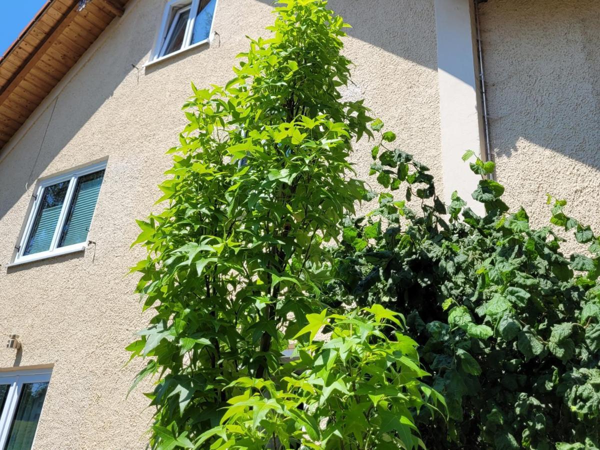 I24Rooms - Gaestezimmer Mit Eigenem Garten Legau 외부 사진